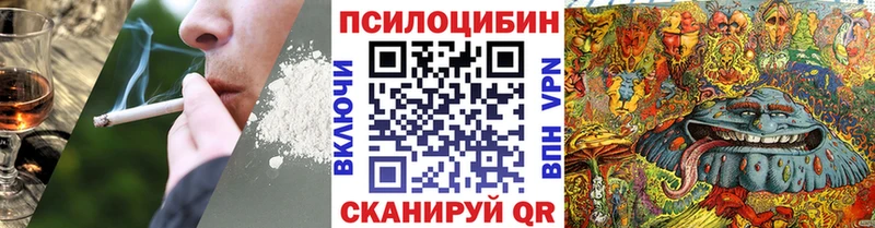 Галлюциногенные грибы MAGIC MUSHROOMS  Купить  Куровское 